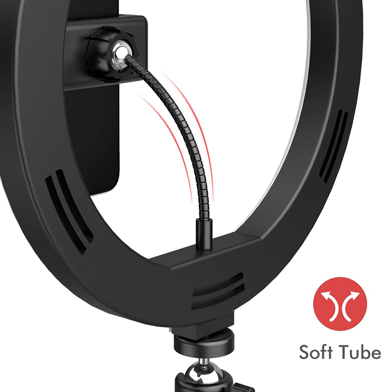 6/10/12 Inch LED Selfie Ring L - Lighting Gallery 评论和价格