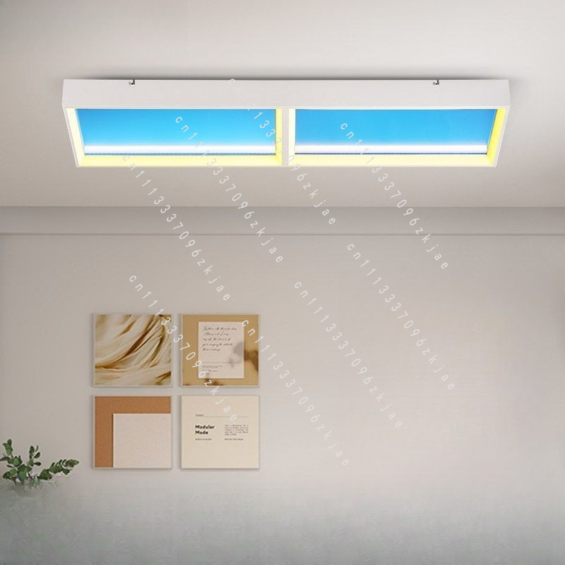 Modern Ultra Clear Sky LED Flu - Lighting Effect Home Decor 评论和价格