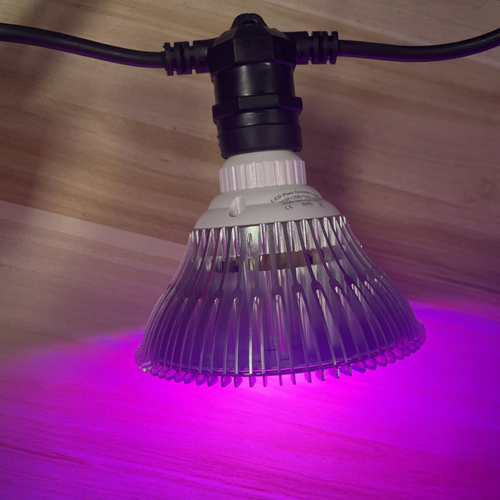 10M Cable LED String Commercia - Lighting Decoration Ideas 评论和价格