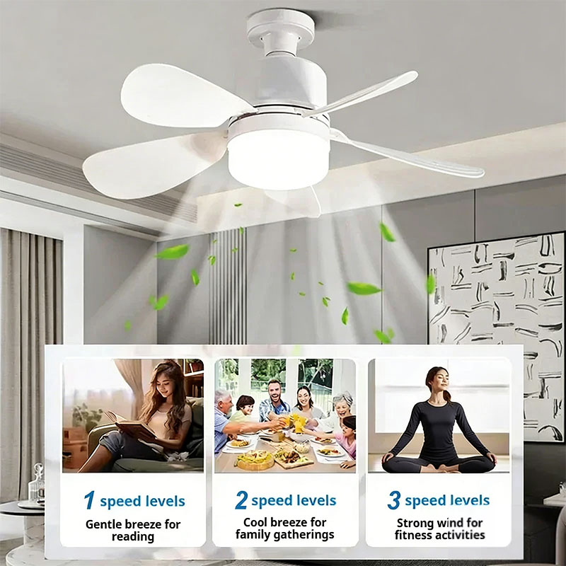 E27 Screw Ceiling Fan Light wi - Decor Lighting Ceiling Fans 评论和价格