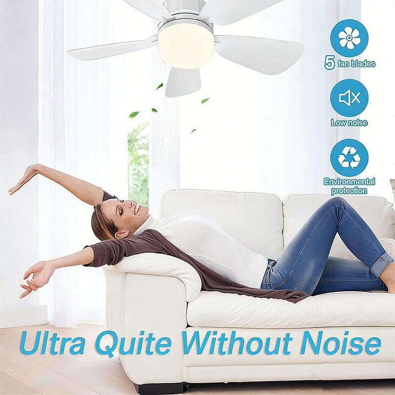 E27 Screw Ceiling Fan Light wi - Decor Lighting Ceiling Fans 评论和价格