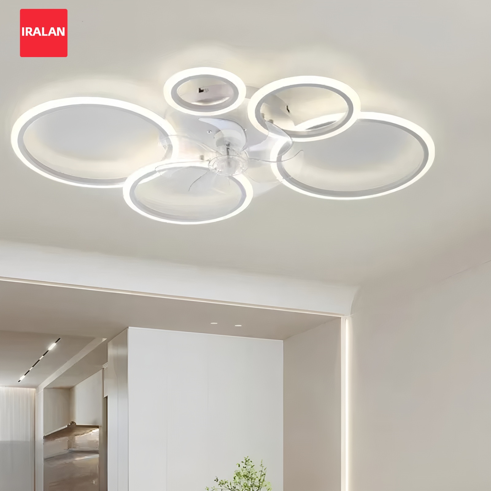 Ring Ceiling Fan with LED Ligh - Decor Lighting Ceiling Fans 评论和价格